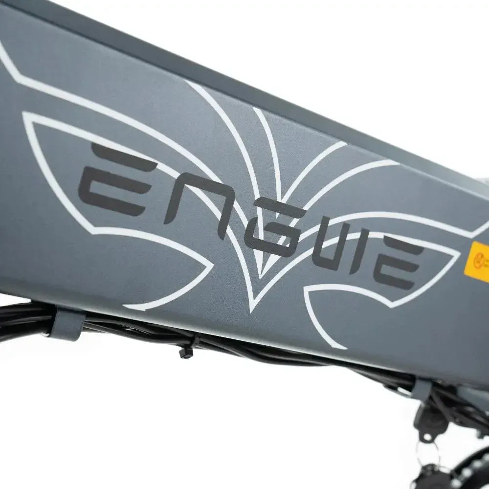 ENGWE EP 2 Pro - Siva