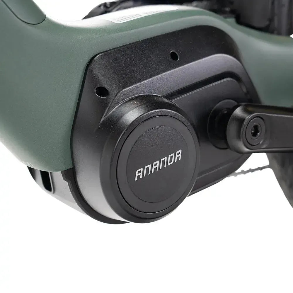 ENGWE Mapfour N1 Pro - Zeleno