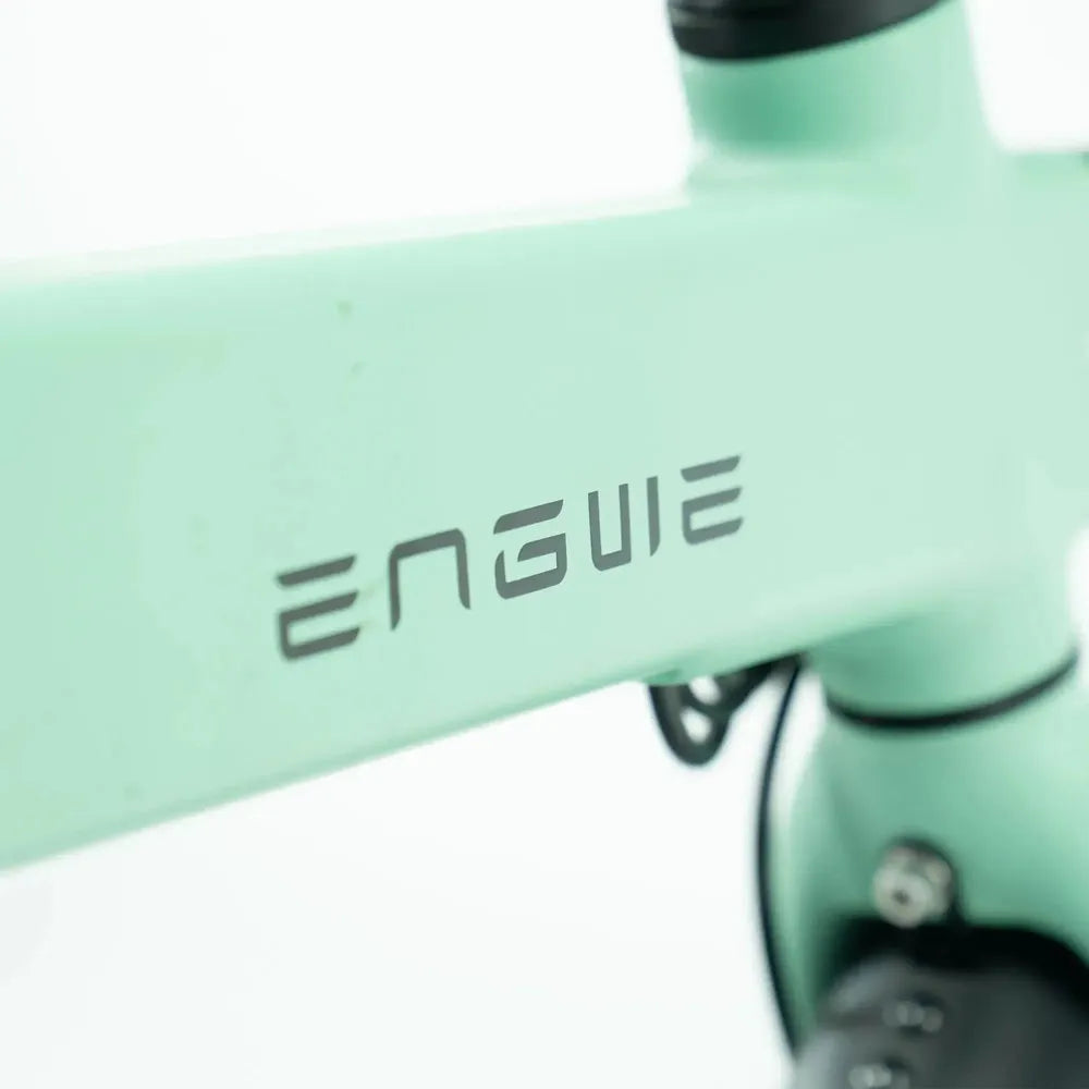 ENGWE P20 - Zeleno