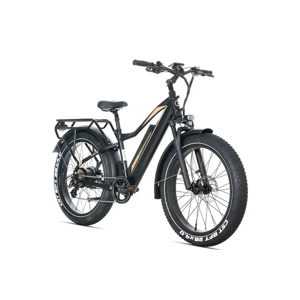JOBOBIKE Robin Pro - Crno-zlatna