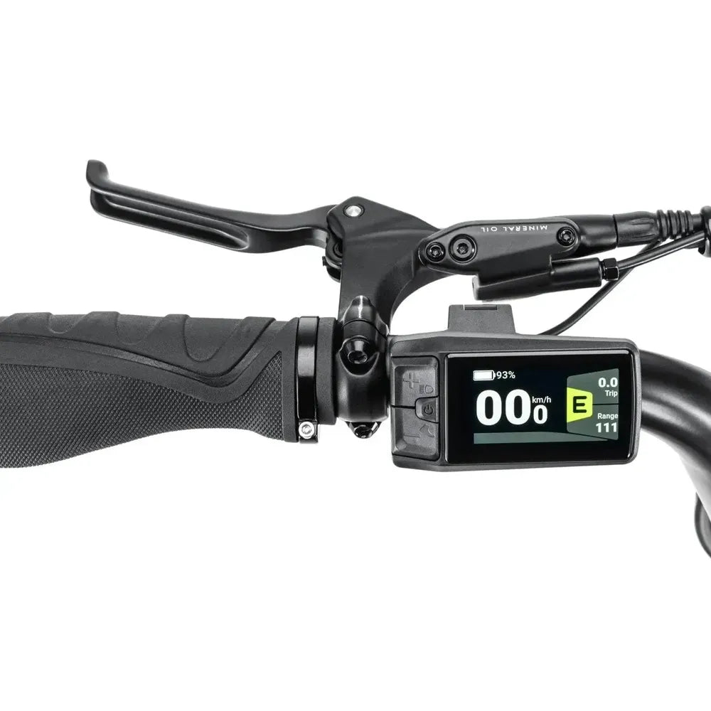 STOER Bikes Urban X - Zeleno