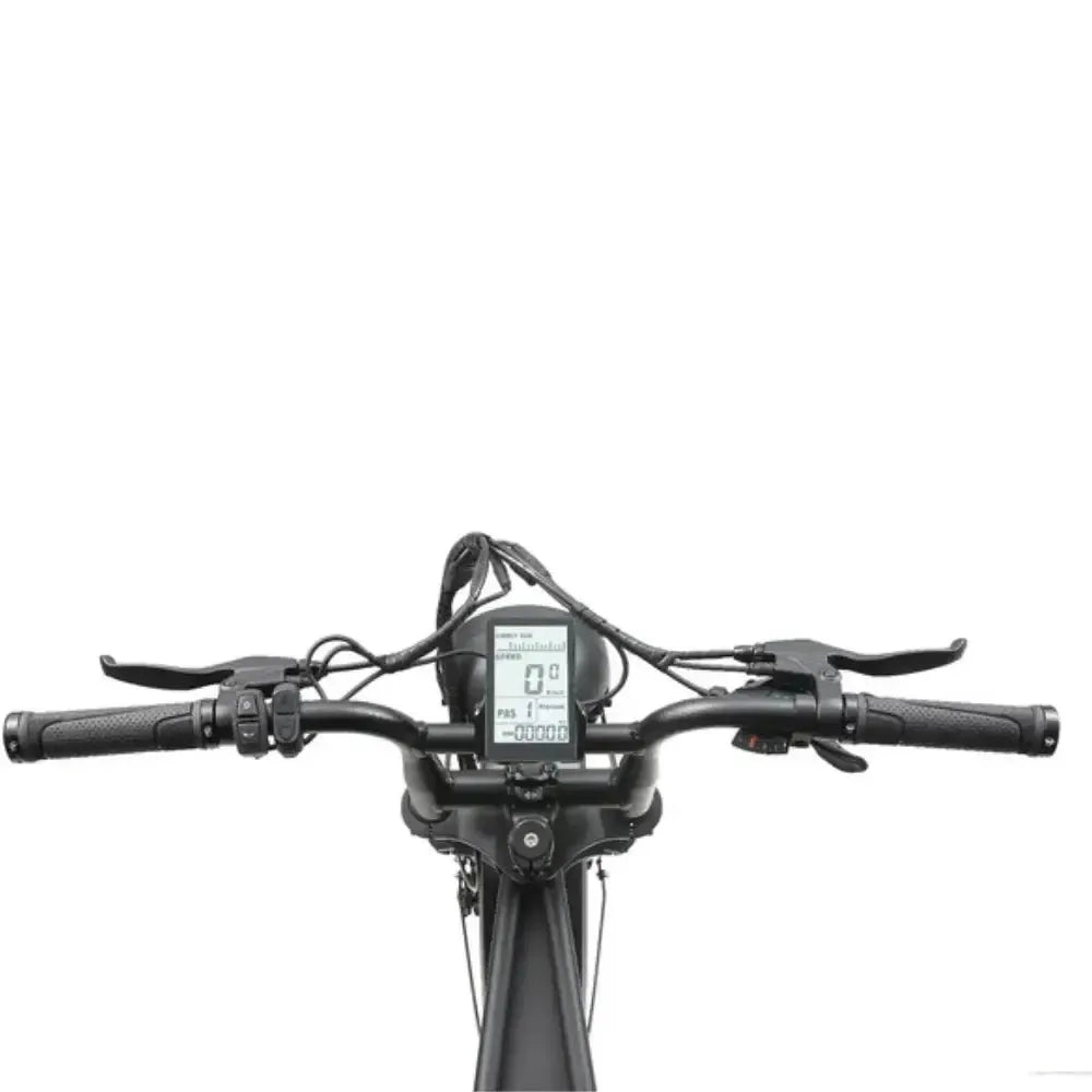 ApeRyder A10 Pro - Crna