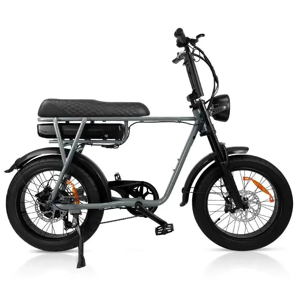 EB2 Pro - Sivi