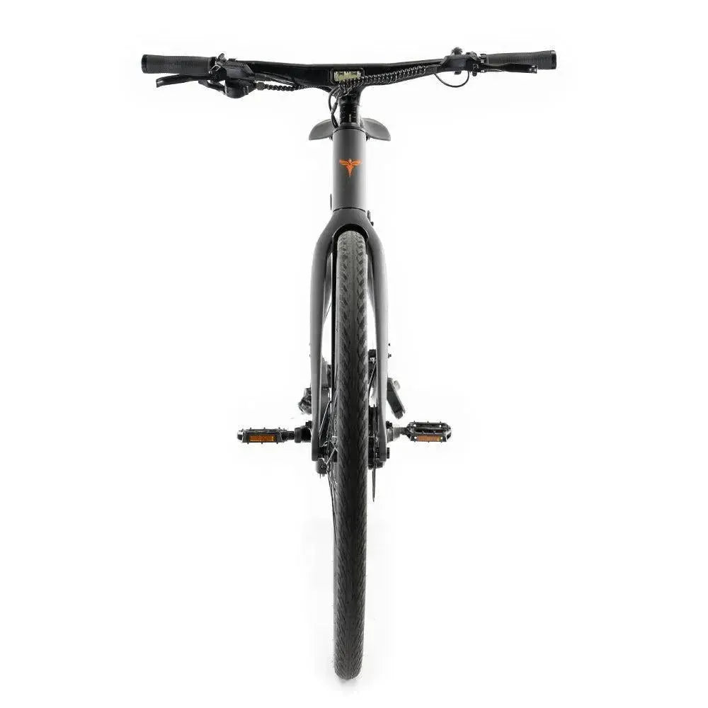 ENGWE Mapfour N1 Pro - Siva