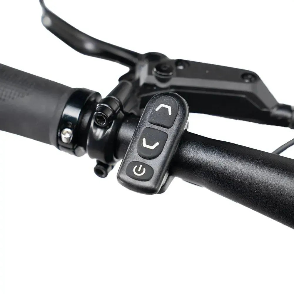 ENGWE Mapfour N1 Pro - Siva