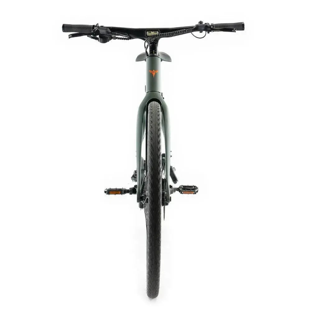ENGWE Mapfour N1 Pro - Zeleno