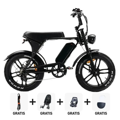 Obiteljski Fatbikes