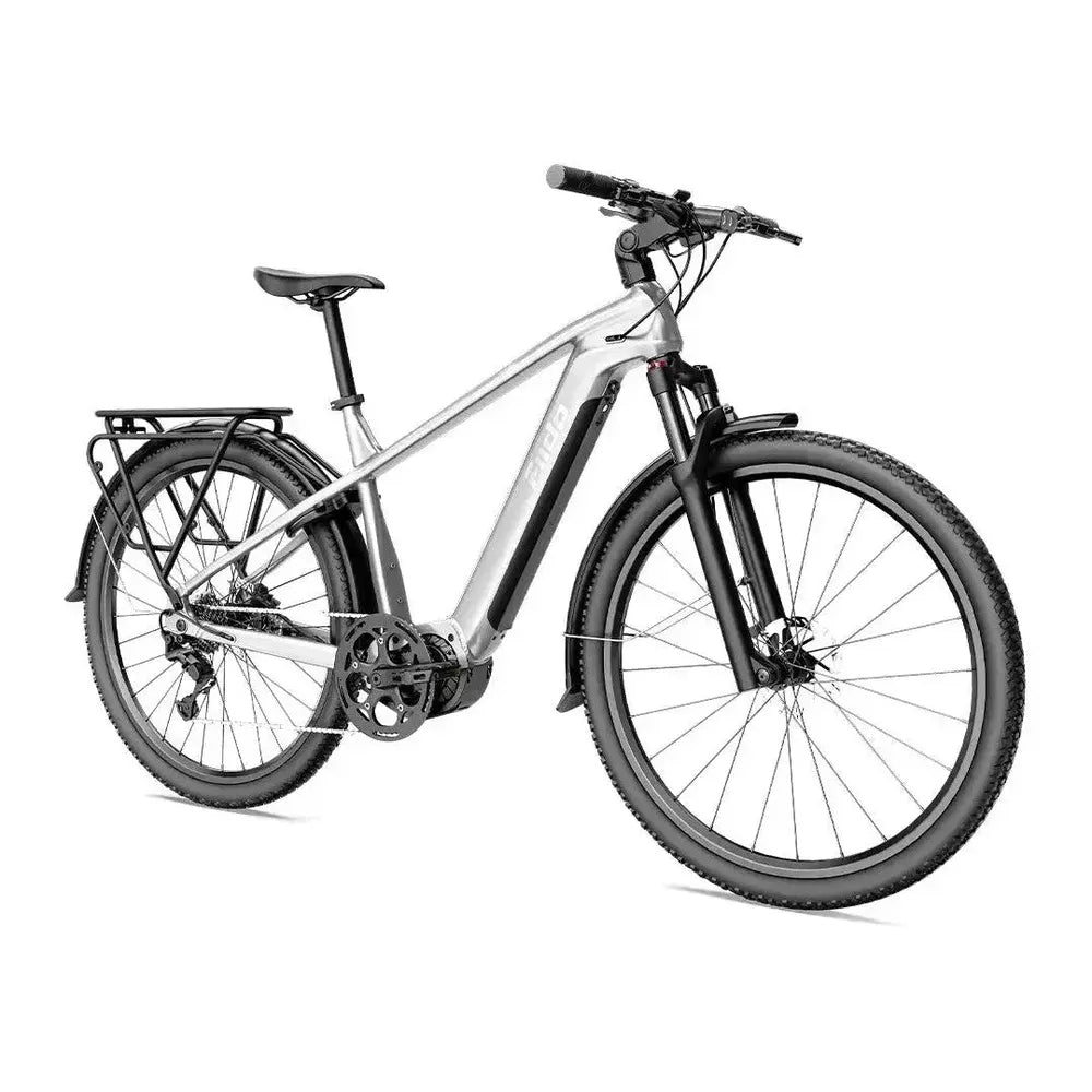 Fiido Nomads Pro - Siva