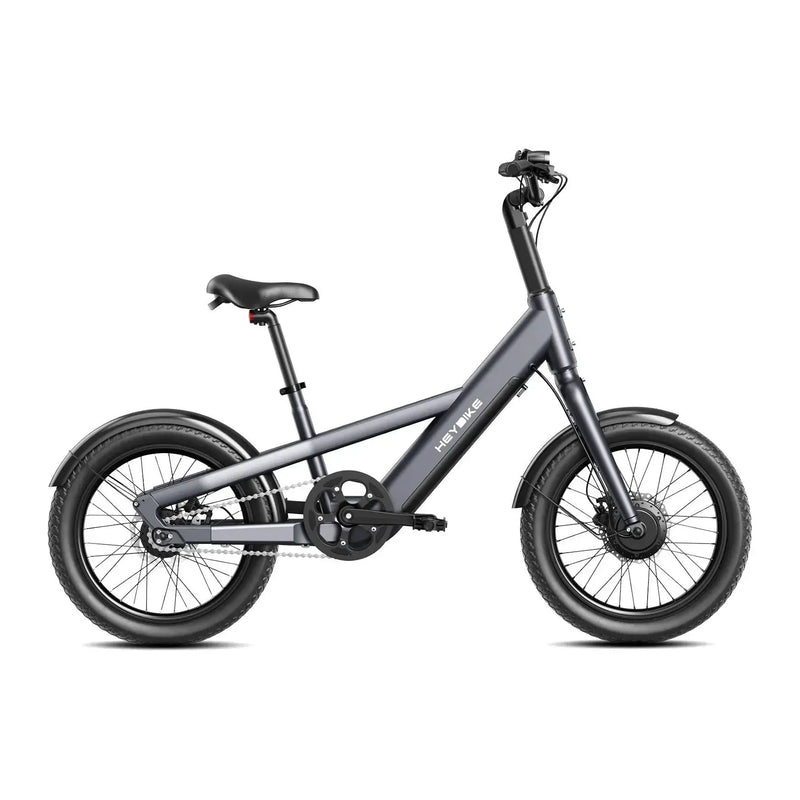 Heybike Compact City - Sivi