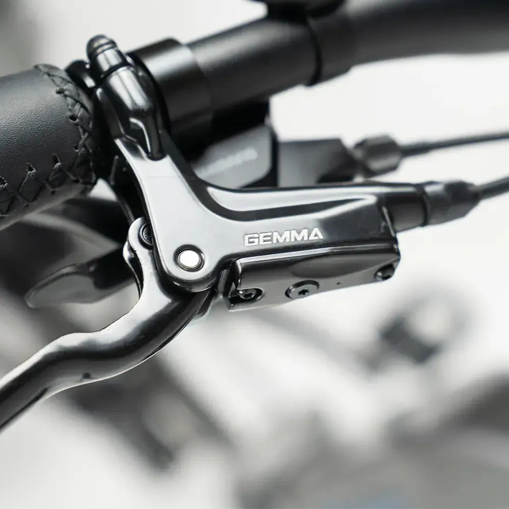 JOBOBIKE Romer Pro - Siva