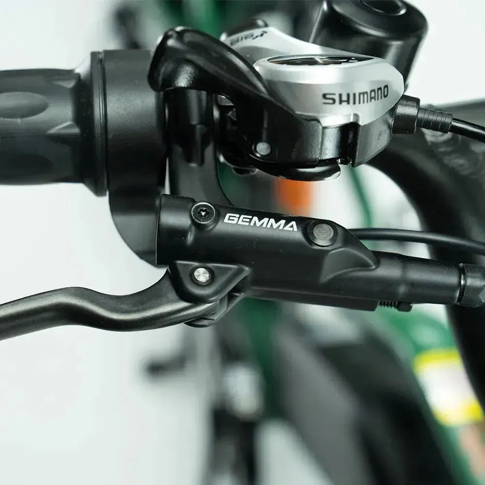 JOBOBIKE Transer - Longtail - Zeleno