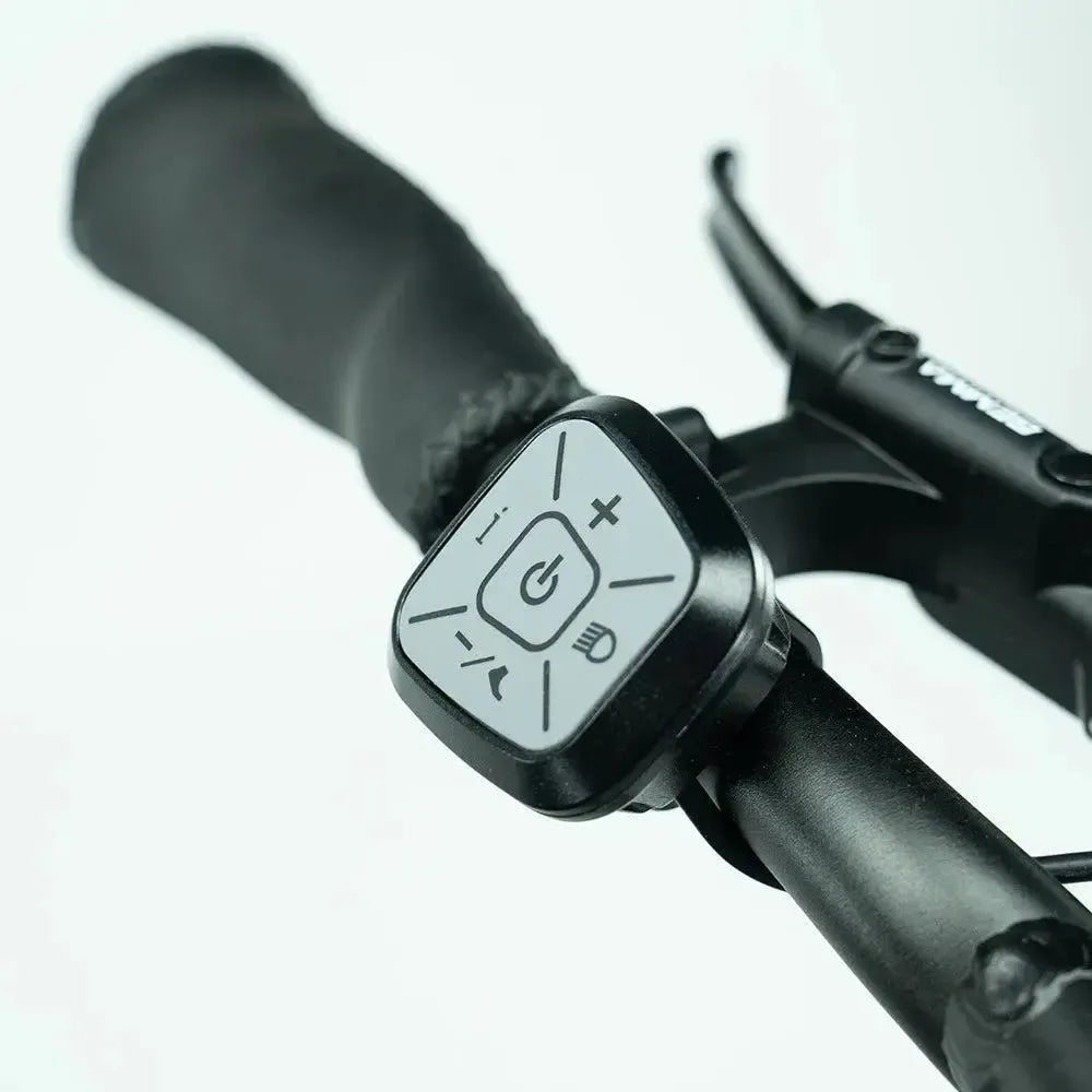 JOBOBIKE Transer - Longtail - Srebrnosiva