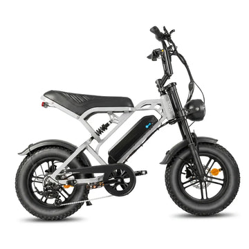 V20 Pro Mini - Svijetlo siva