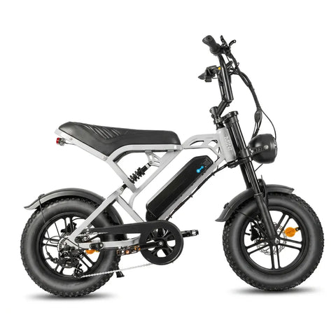 V20 Pro Mini - Svijetlo siva